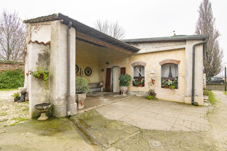 _ARI1491 1768465861 gallery 750x500