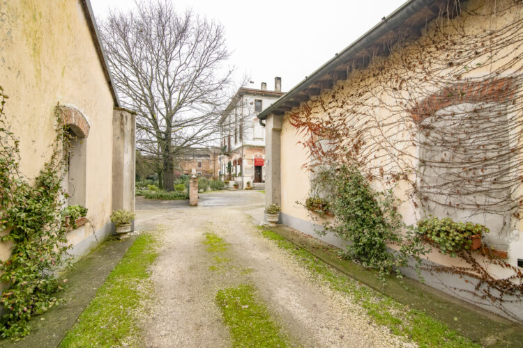 _ARI1500 1768465861 gallery 750x500