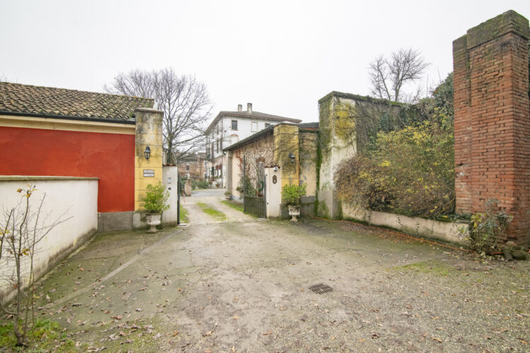 _ARI1502 1768465941 gallery 750x500