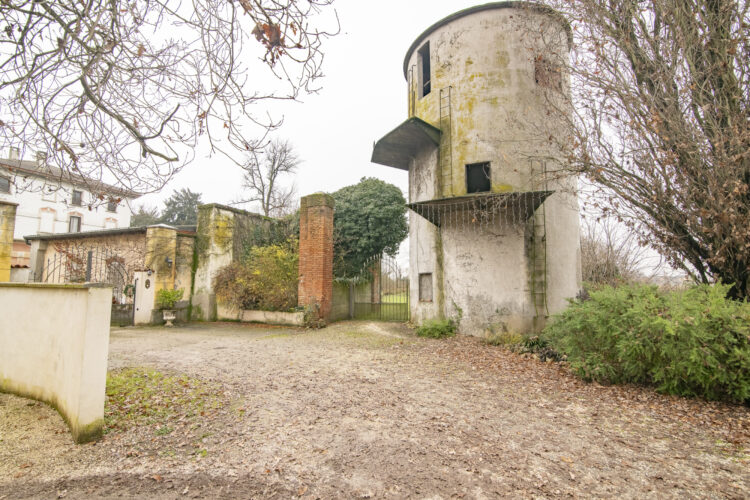 _ARI1510 1768465963 gallery 750x500