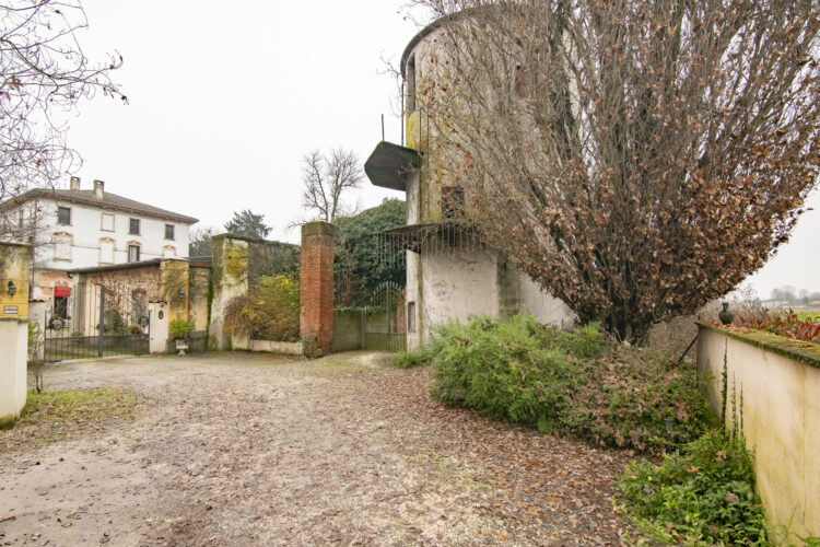 _ARI1518 1768465963 gallery 750x500