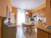 _SPO0252 1768411447 gallery 180x135