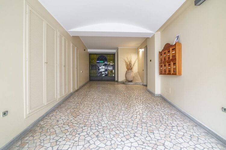 _SPO0448 1768411507 gallery 750x500