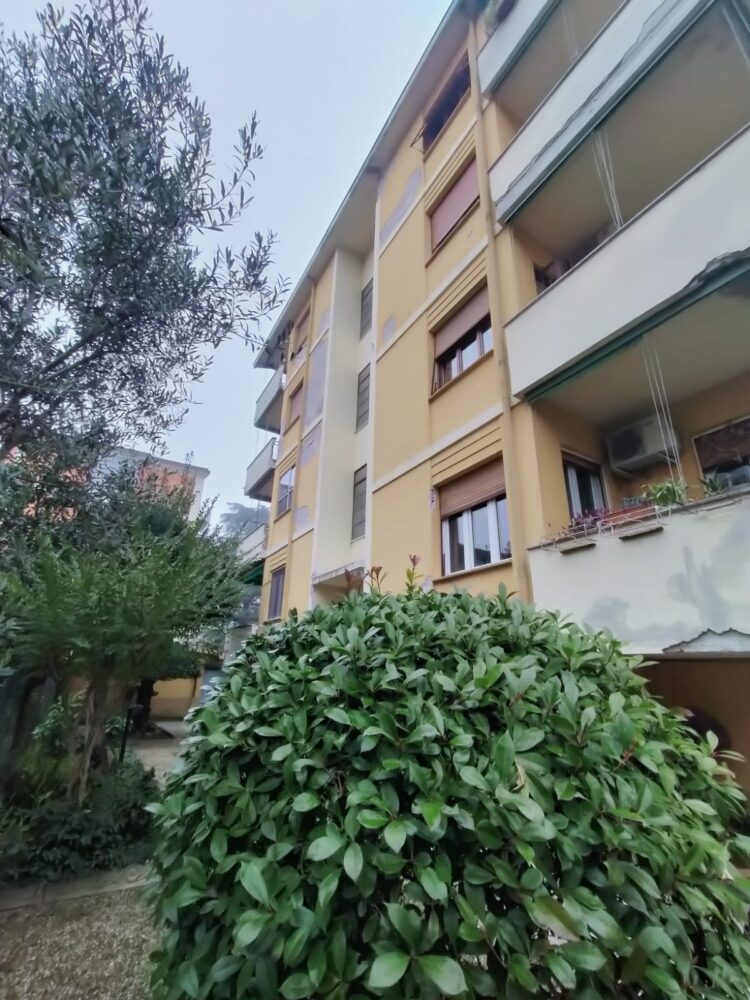 def3e47e 2e44 4672 b218 306feea4d59f 1768491238 gallery 750x1000