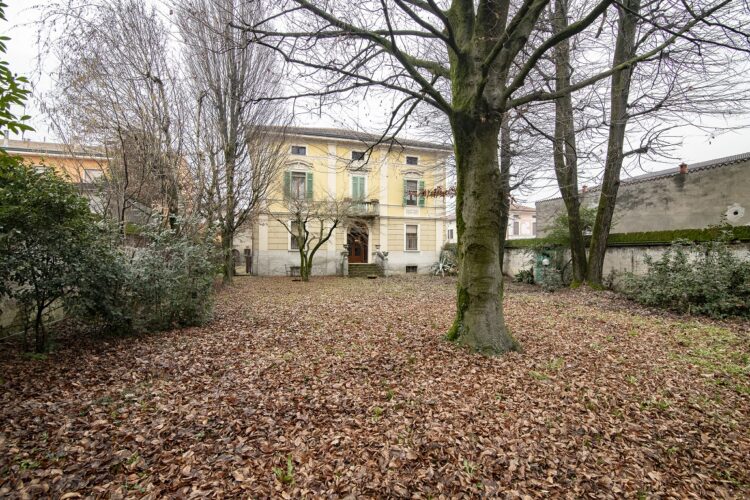 pano 3 1768986595 gallery 750x500