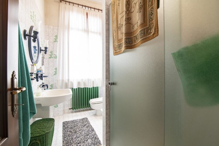 pano 31 1768986660 gallery 750x500