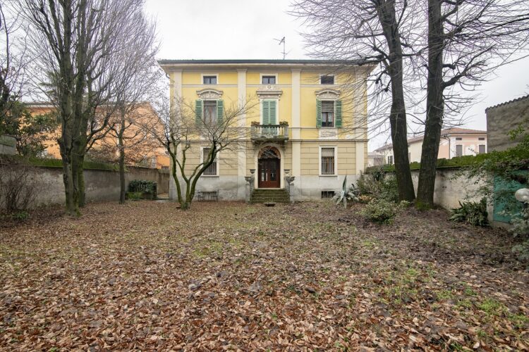 pano 4 1768986595 gallery 750x500