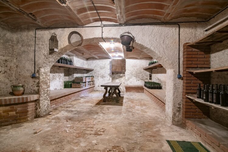 pano 47 1768986702 gallery 750x500