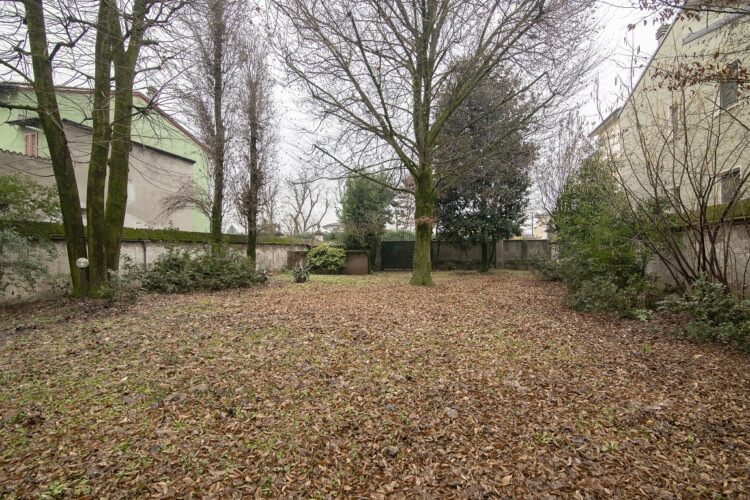 pano 6 1768986612 gallery 750x500