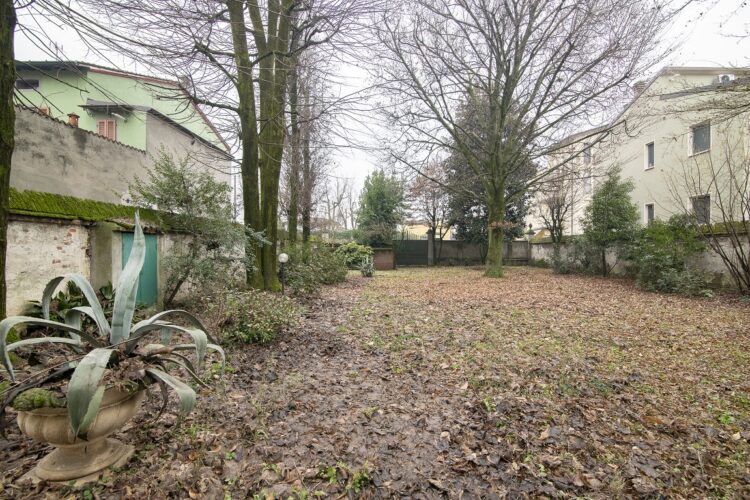 pano 7 1768986612 gallery 750x500