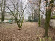 pano 9 1768986612 gallery 180x135