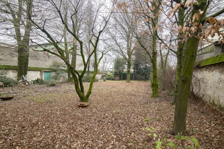 pano 9 1768986612 gallery 750x500