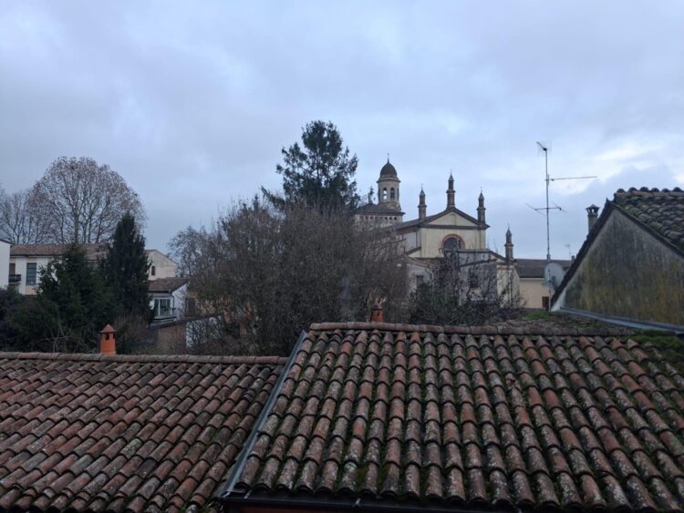 0c32a281 38a4 4fb2 a4b7 b31e79ff210b 1771862254 gallery 750x563