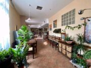 4 1770287765 gallery 180x135