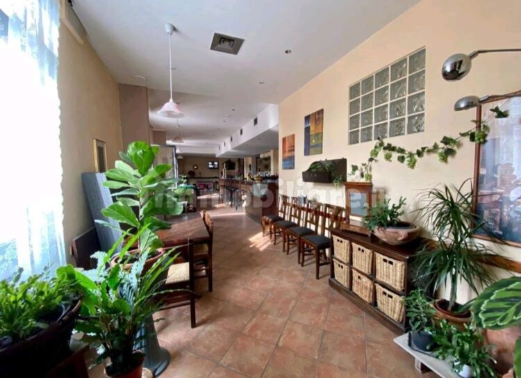 4 1770287765 gallery 750x544