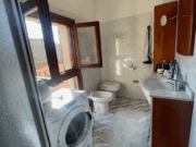 IMG_6428 1771862221 gallery 180x135