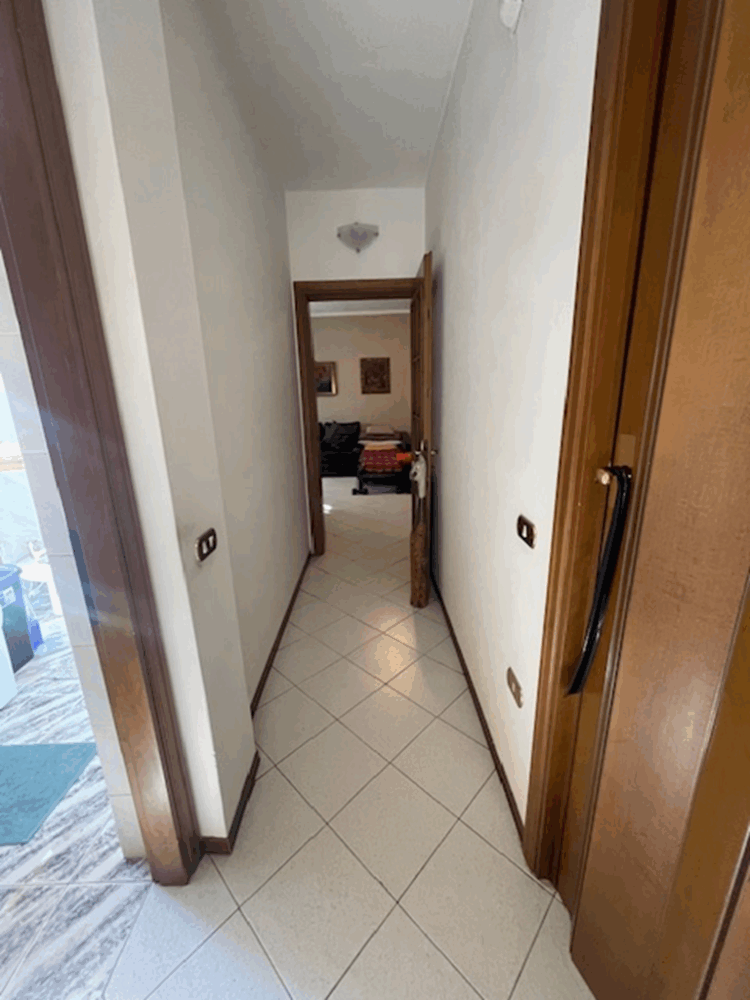 IMG_6430 1771862221 gallery 750x1000