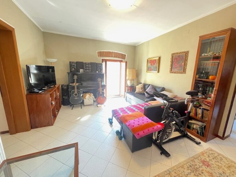 IMG_6435 1771862032 gallery 750x563