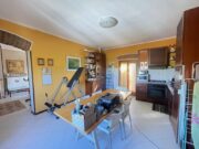 IMG_6437 1771862032 gallery 180x135