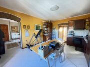 IMG_6439 1771862032 gallery 180x135