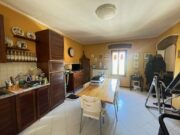 IMG_6440 1771862032 gallery 180x135