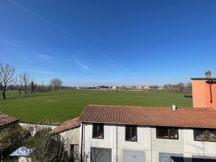 IMG_6442 1771861625 gallery 750x563