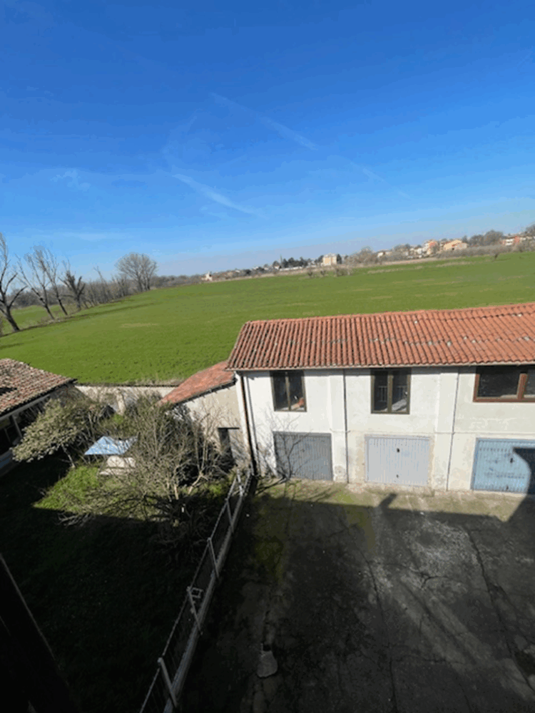 IMG_6443 1771861625 gallery 750x1000