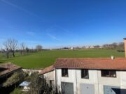 IMG_6444 1771861625 gallery 180x135