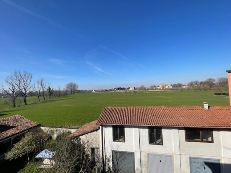 IMG_6444 1771861625 gallery 750x563