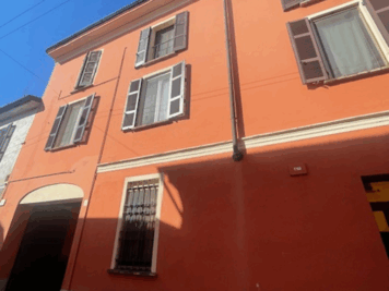 IMG_6446 1771861625 gallery 356x267