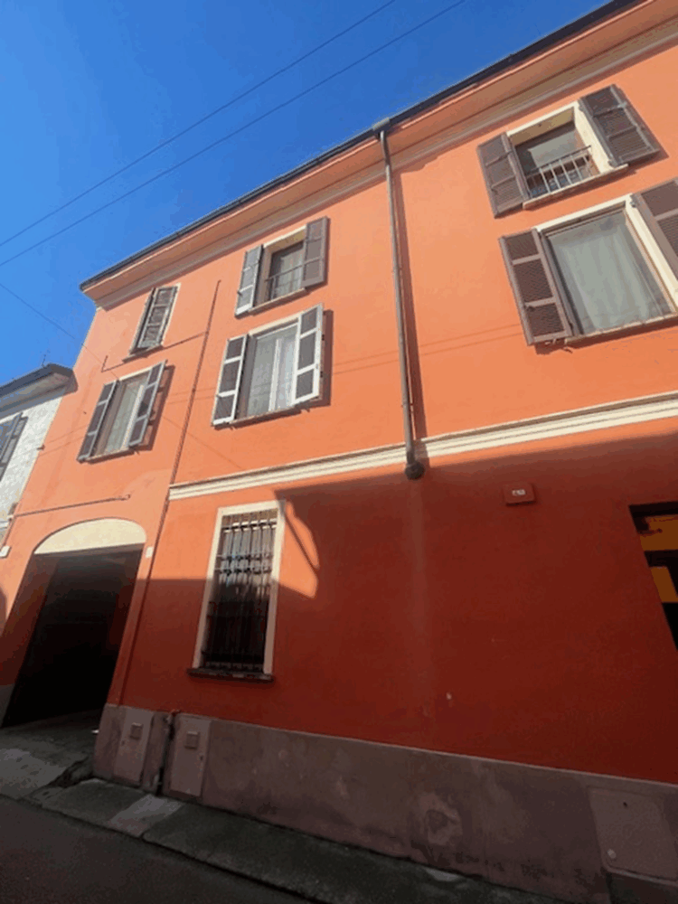 IMG_6446 1771861625 gallery 750x1000