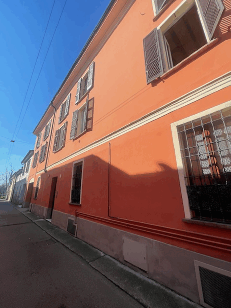 IMG_6447 1771861625 gallery 750x1000