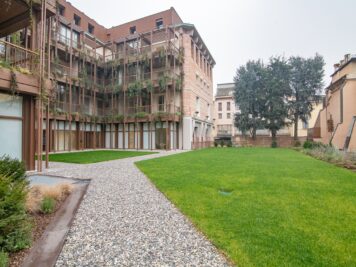 _ARI7089 1770890420 gallery 356x267