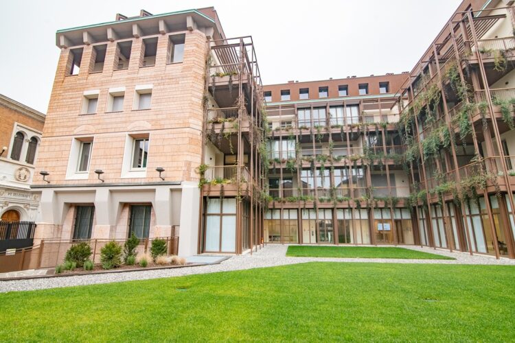 _ARI7113 1770890420 gallery 750x500