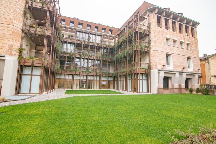 _ARI7114 1770890420 gallery 750x500