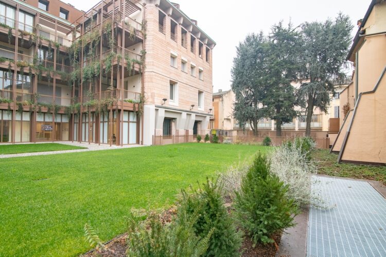 _ARI7118 1770890420 gallery 750x500