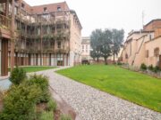 _ARI7165 1770890432 gallery 180x135