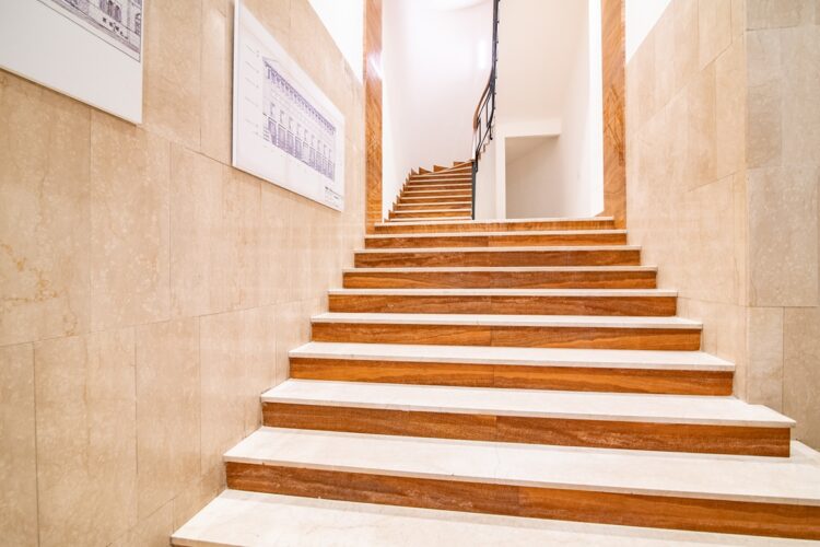 _ARI7176 1770890432 gallery 750x500