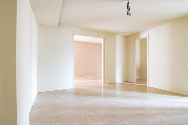 _ARI7255 1770890492 gallery 750x500