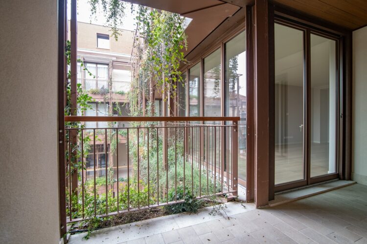 _ARI7290 1770890637 gallery 750x500