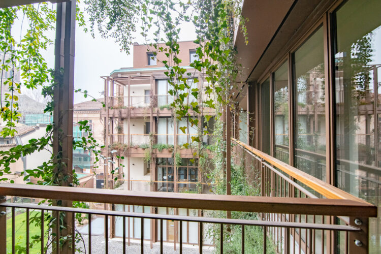 _ARI7301 1770890637 gallery 750x500