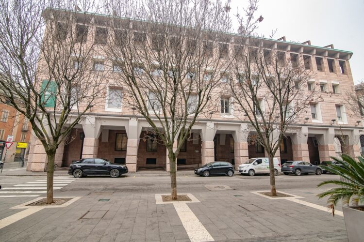 _ARI7486 1770890685 gallery 750x500