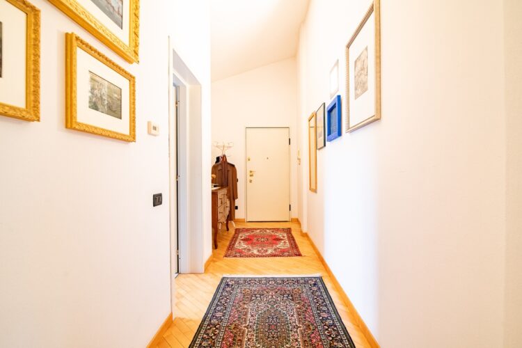 _ARI7529 1770399787 gallery 750x500