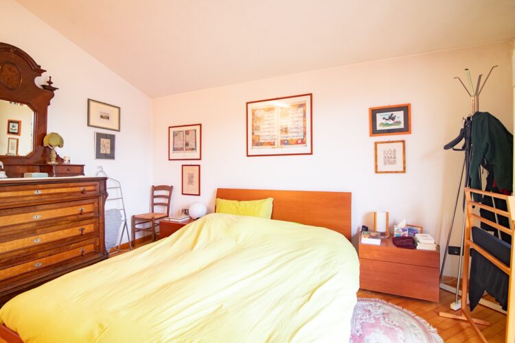 _ARI7590 1770399829 gallery 750x500