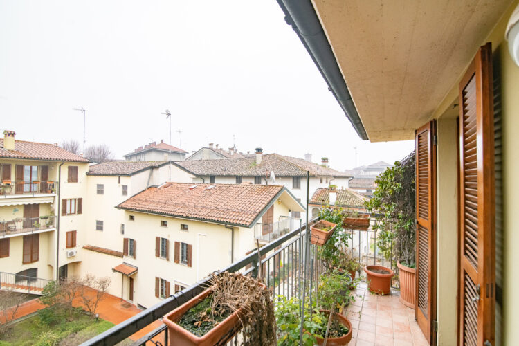 _ARI7742 1770399913 gallery 750x500