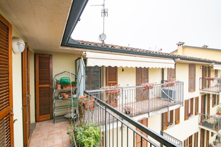 _ARI7746 1770399913 gallery 750x500