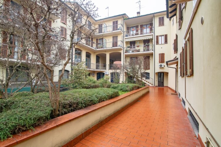 _ARI7774 1770399913 gallery 750x500