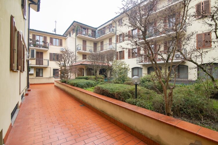 _ARI7782 1770399913 gallery 750x500