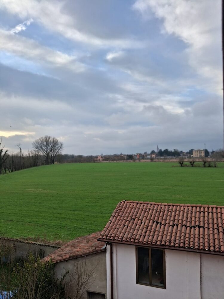 b4583018 161e 4a83 b6c6 248f03020a85 1771862278 gallery 750x1000