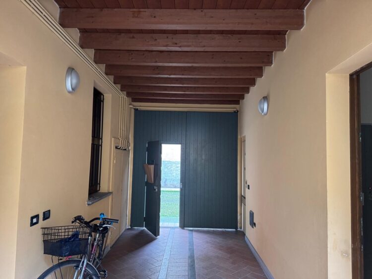 c306cffa d631 40e5 9eb9 1b39329d6847 1770824743 gallery 750x563